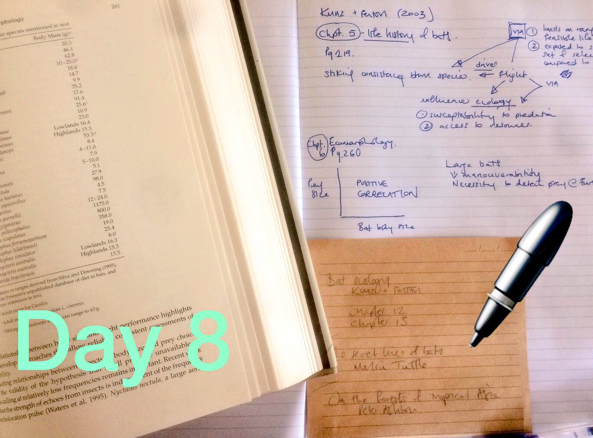 Tor kemp tweet media