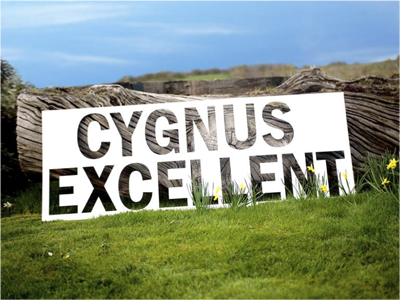 NEWS: Swanline Paper &amp; Board "excels" with Cygnus Excellent Display Board <a href="/SwanlinePB/">Swanline PB</a> bit.ly/2HuvVHx