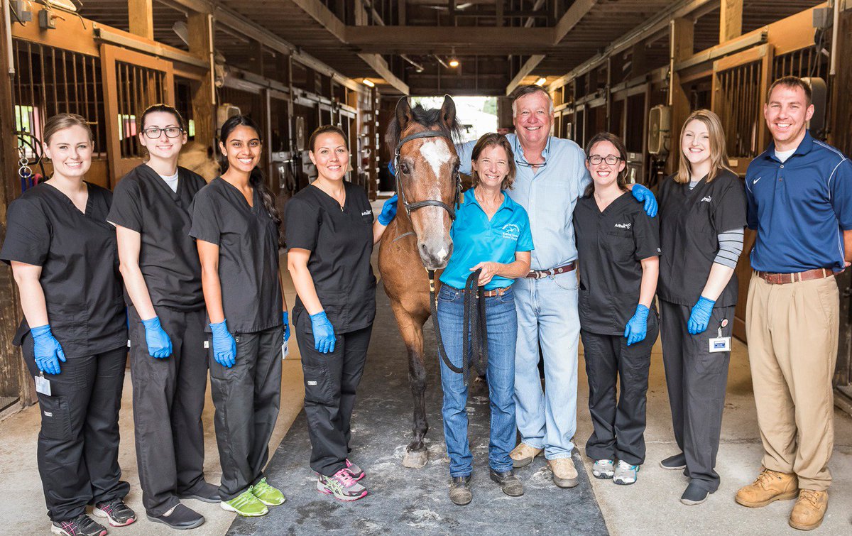 This #HelpaHorseDay, we’re proud to highlight our contributions to equine health, especially for the therapy horses at Naples Therapeutic Riding Center who benefit from our orthobiologic donations to treat arthritis and soft tissue injuries.