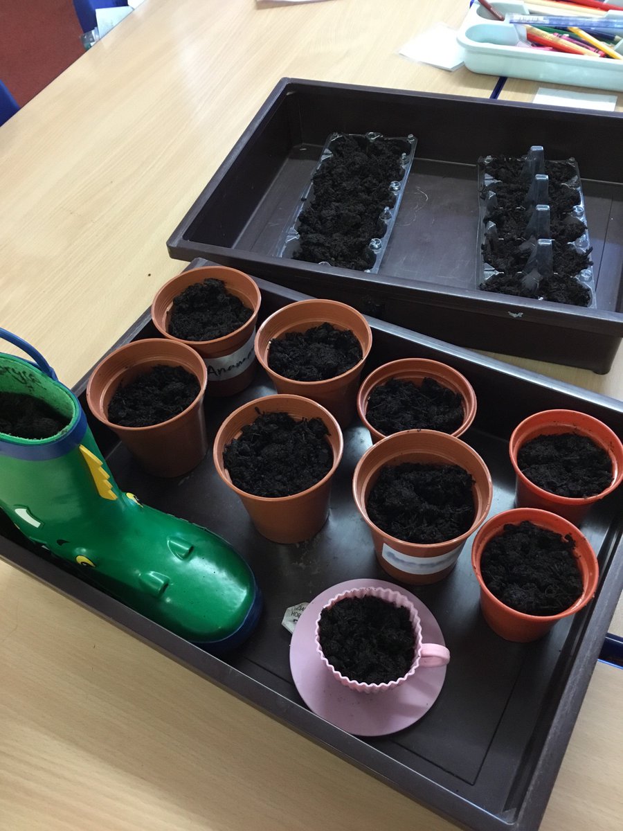 SaintJohnsRC's tweet image. Pr1/2 investigating #creativecontainers to grow food 🍅🥕🌱