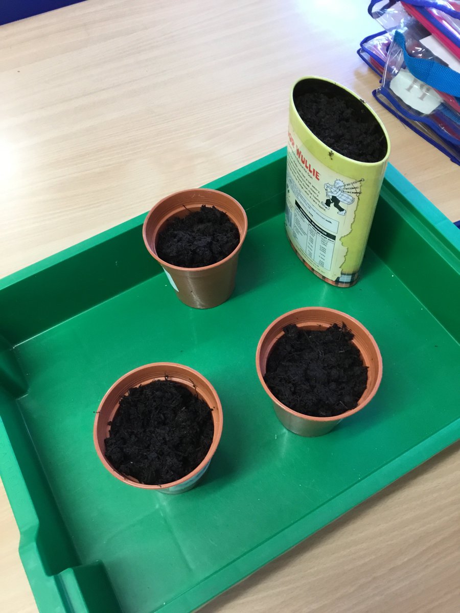 SaintJohnsRC's tweet image. Pr1/2 investigating #creativecontainers to grow food 🍅🥕🌱
