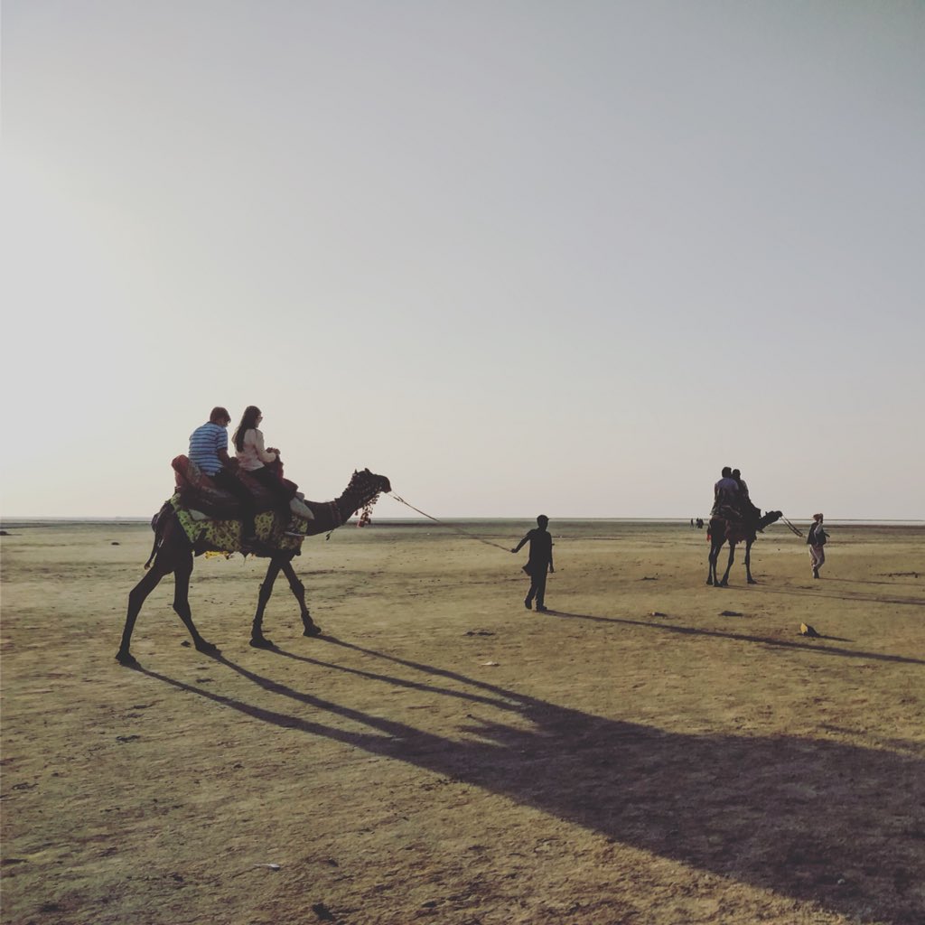 AppPutnik's tweet photo. Location: Thar desert https://t.co/imWj0uA0v6