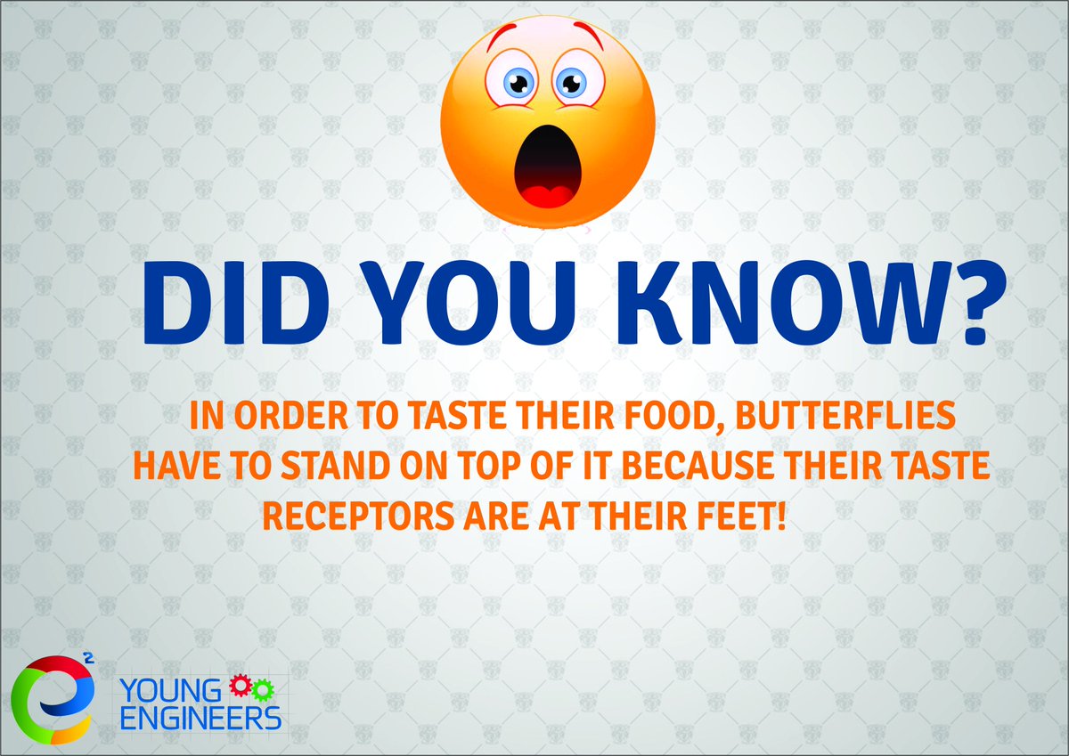 #DidYouKnow #YoungEngineers #Edutainment
#Learningischildsplay #STEM #Education