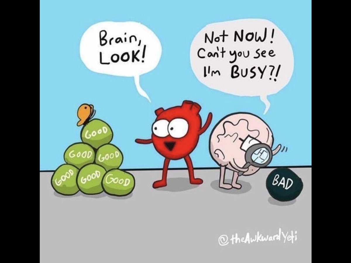 Bark-Services tweet media