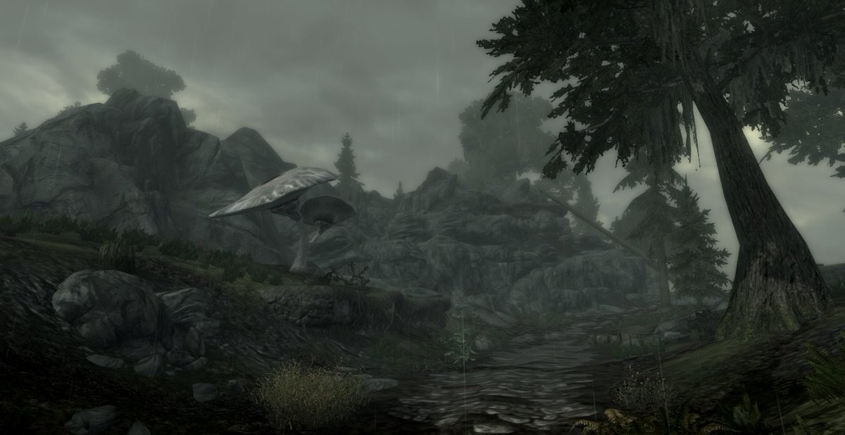 TFLMods's tweet photo. Been working on the swampy region of Fenmire today. #Tarrigate #Skyrim #Mod https://t.co/5hAJwJ0QJX