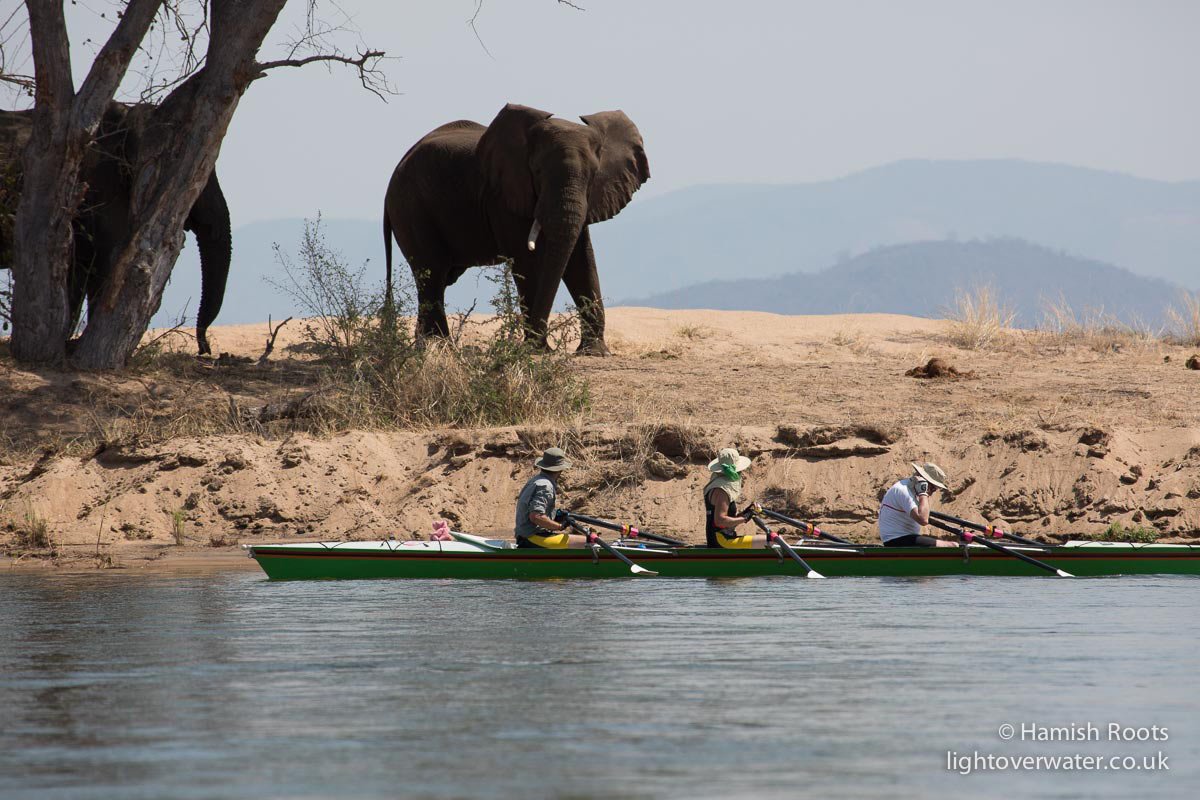 rowzambezi's tweet photo. This year, our rowers will venture down 900km of the Kafue River, the third largest tributary of the Zambezi, We will row through a National Park and get close to the wildlife... but stay a safe distance away! #onwaterforwater #rowzambezi https://t.co/Z8I9ncmMuZ