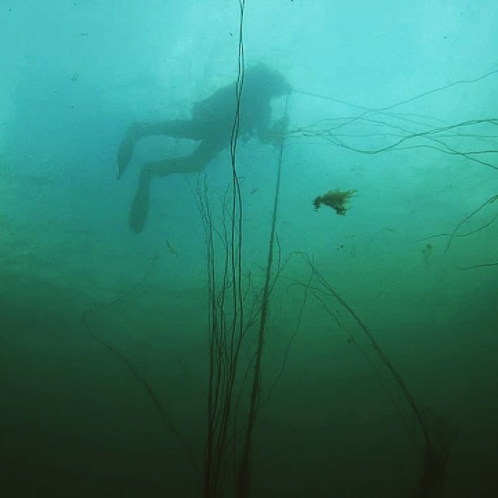 Did you know from harvesting the wild seaweed to final production all takes place on Skye. #isleofskye #skye #seaweed #cosmetics #natural #etsy #bathandbeauty #handmade #scotland #sustainable