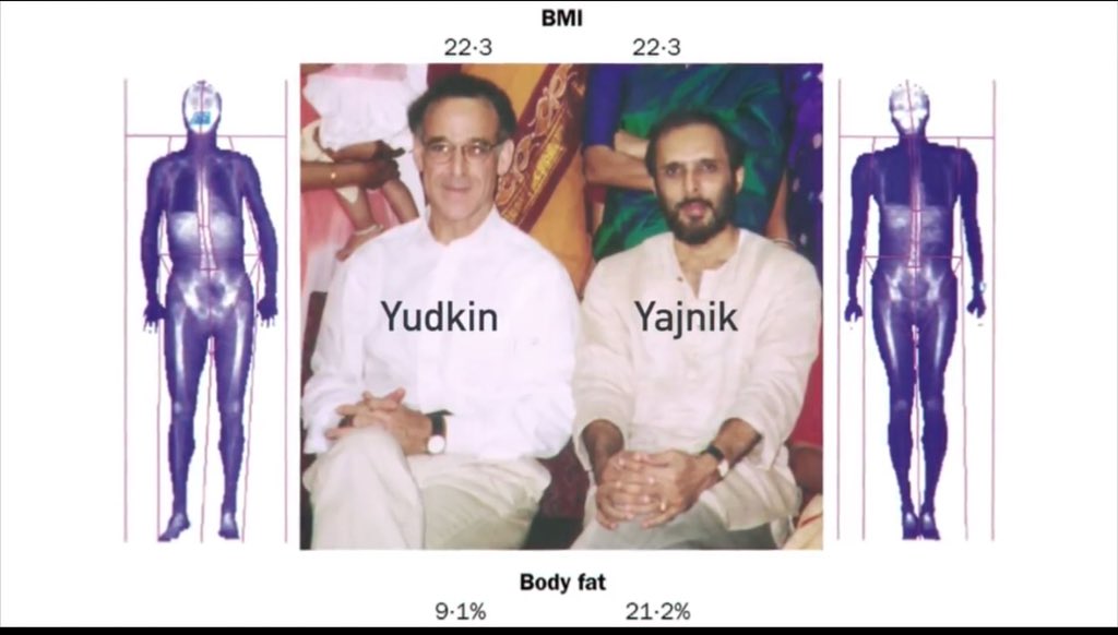 Image result for Yajnik CS, Yudkin JS. The Y-Y Paradox. Lancet