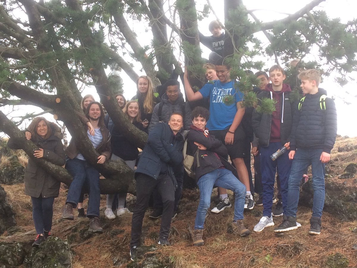 TheKingstonAca's tweet photo. We've asked pupils to find some some Icelandic #elves in the local rock garden #Iceland #wefoundone https://t.co/ymLPN6EPhz