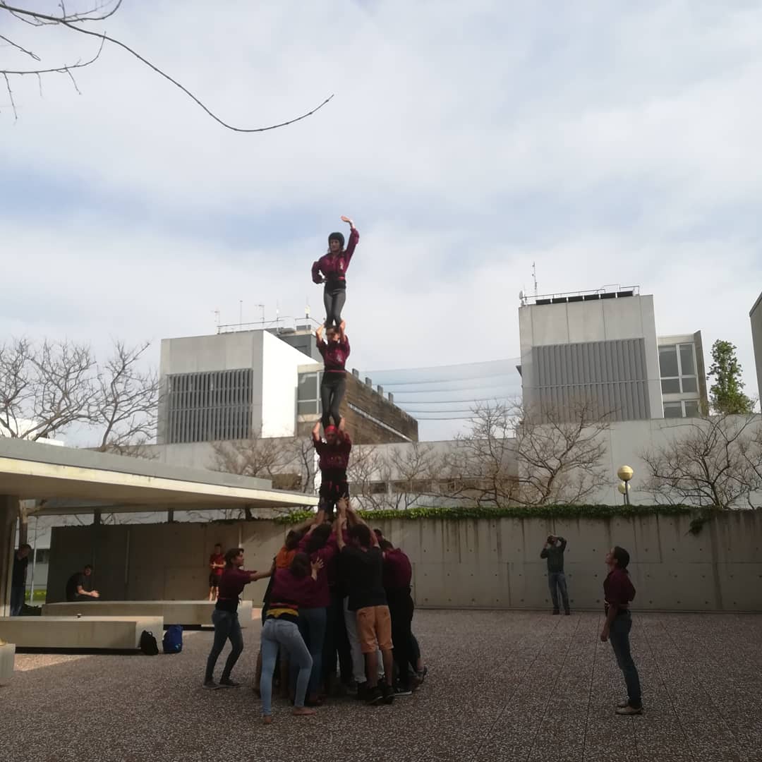 Forum BioEnginy UPC tweet media