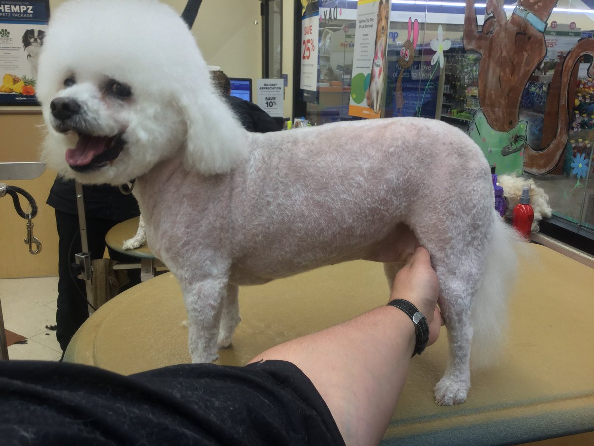 Petsmart Grooming-Commack tweet media
