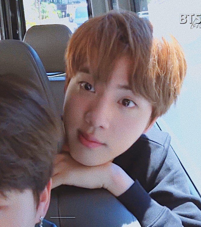 ㅇㅈㅇ tweet media