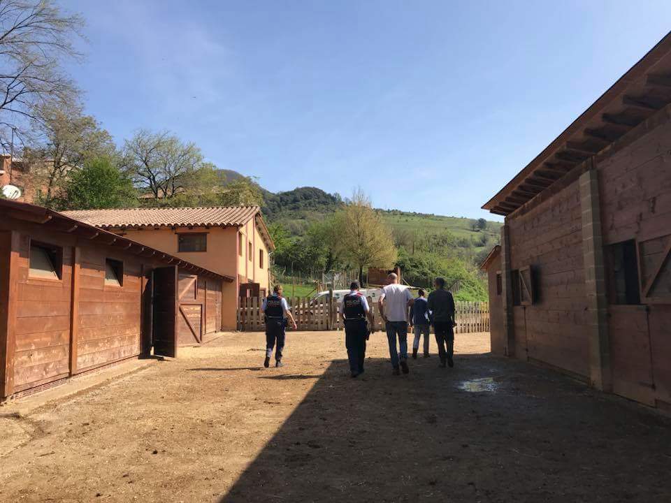 FSantuarioGaia's tweet photo. Hoy desde las 10:30 hasta las 13:15, hemos tenido la sexta inspección por parte de las administraciones en menos de un año. ¿Harán lo mismo en granjas y explotaciones de animales? https://t.co/HiDmP1lFeE