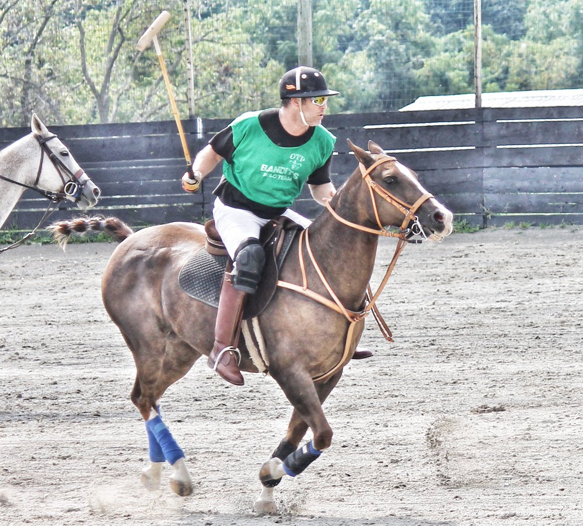 Cardinham's tweet image. Getting back in shape for the new polo season. #polo #horses #success #entrepreneur #goodlife #fashion