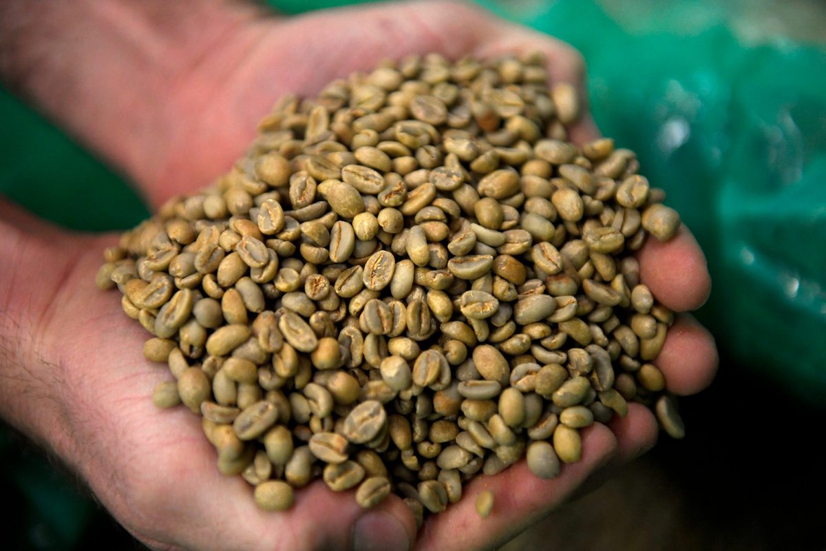 Pass the hemp: Colorado prepares to regulate the plant like any other food ingredient. Via Denver Post cra.in/9taYENx