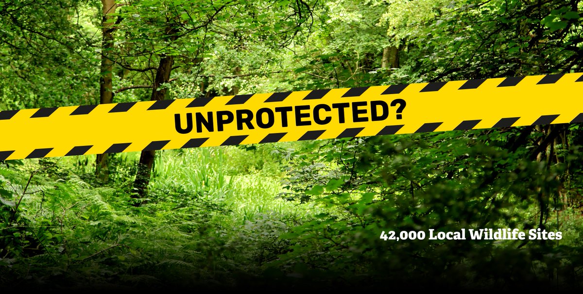 WildlifeTrusts's tweet image. ALERT: 42,000 Local Wildlife Sites in England are at risk of losing their protection in new draft planning rules. This is a huge concern. Please ask the government to reverse this decision: wtru.st/saveLWS #UnprotectedSites #ActSwiftly