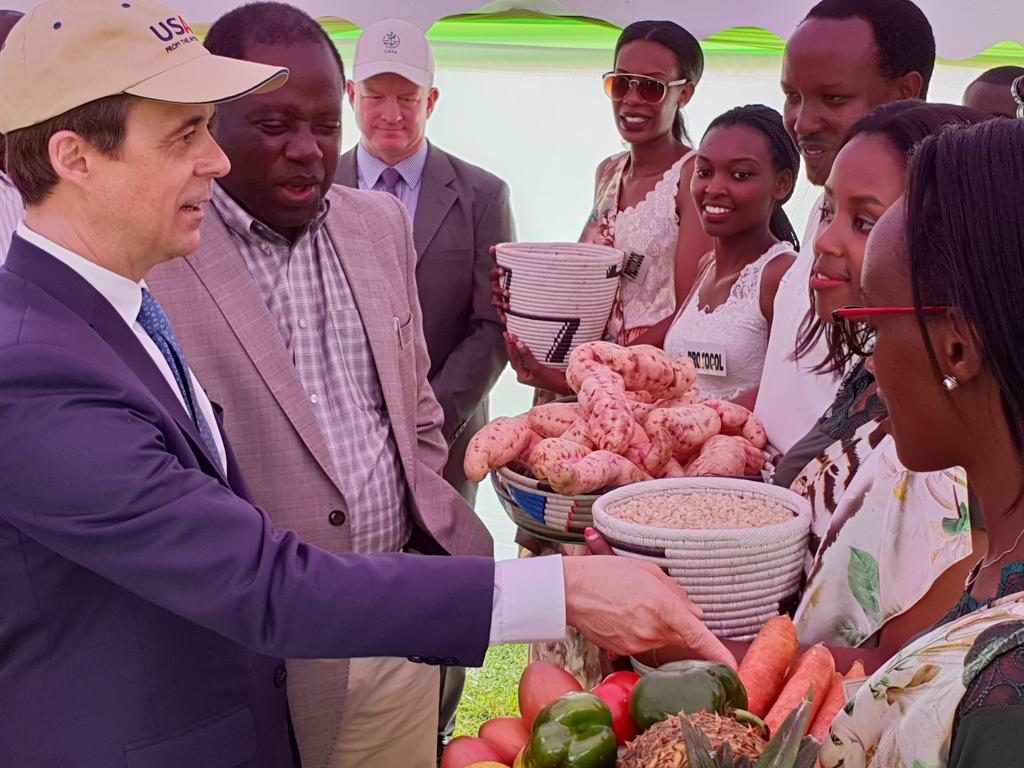 Display of @HingaWezeRwanda value chains -- orange-fleshed potatoes, Irish potatoes, maize, biofortified beans and horticulture. #HingaWezeLaunch