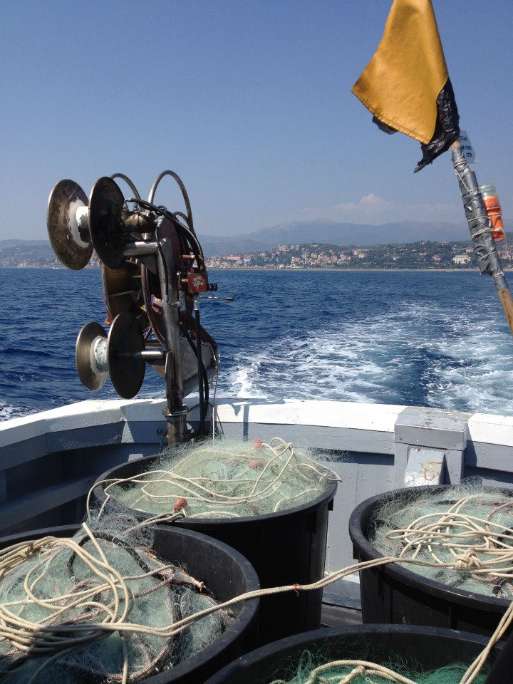 GAC_SV's tweet photo. @azzurroandora #Andora sab. 28 aprile 17:00
laboratorio con degustazione 
DAL MARE AL PIATTO: LA SFILETTATURA DEL PESCE
@GAC_SV @CCIAARIVLIG @LegacoopLiguria @BEsposto @danielaborriel6 @AugustoComes #Pingone https://t.co/4VN5sM8ggl