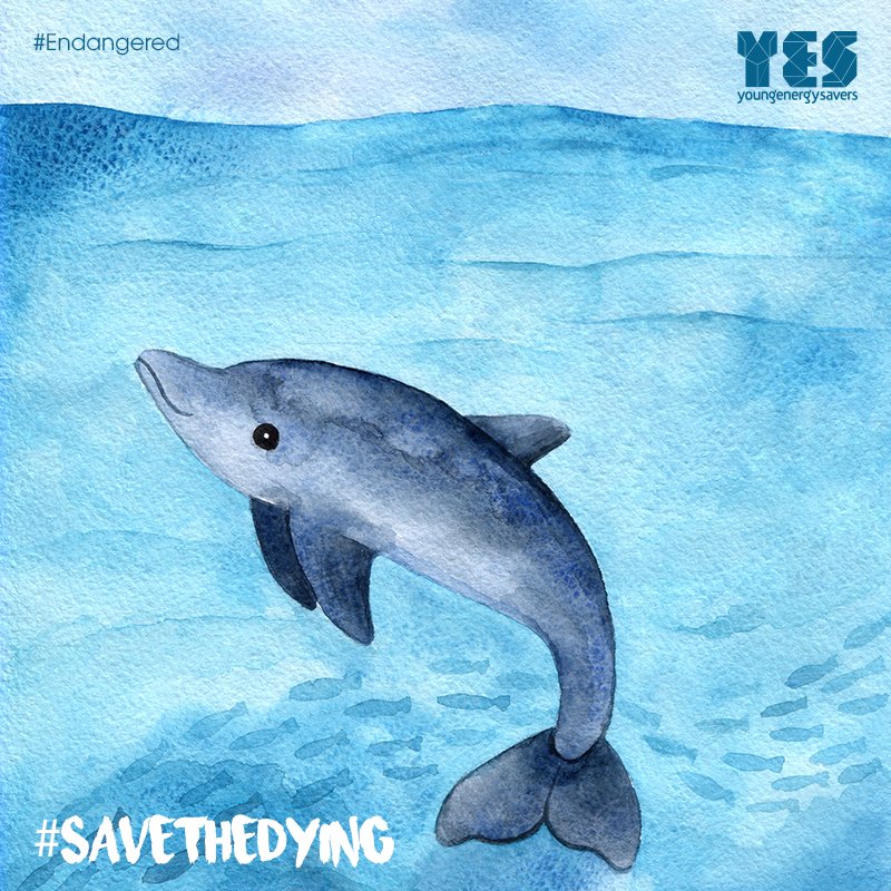 Young Energy Savers tweet media