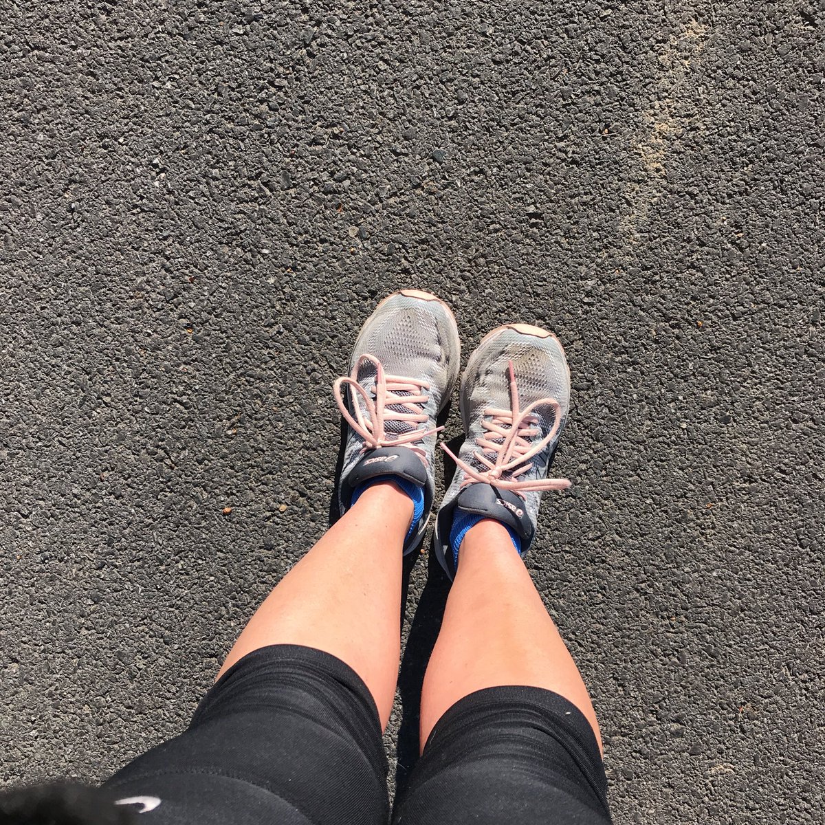 3 miles at the dog show!