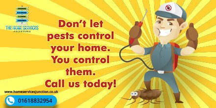 Don’t let pests control your home. You control them. Call us today!
#pestcontrol #homeservicesjunction #pestfree #manchester #pestinspection
