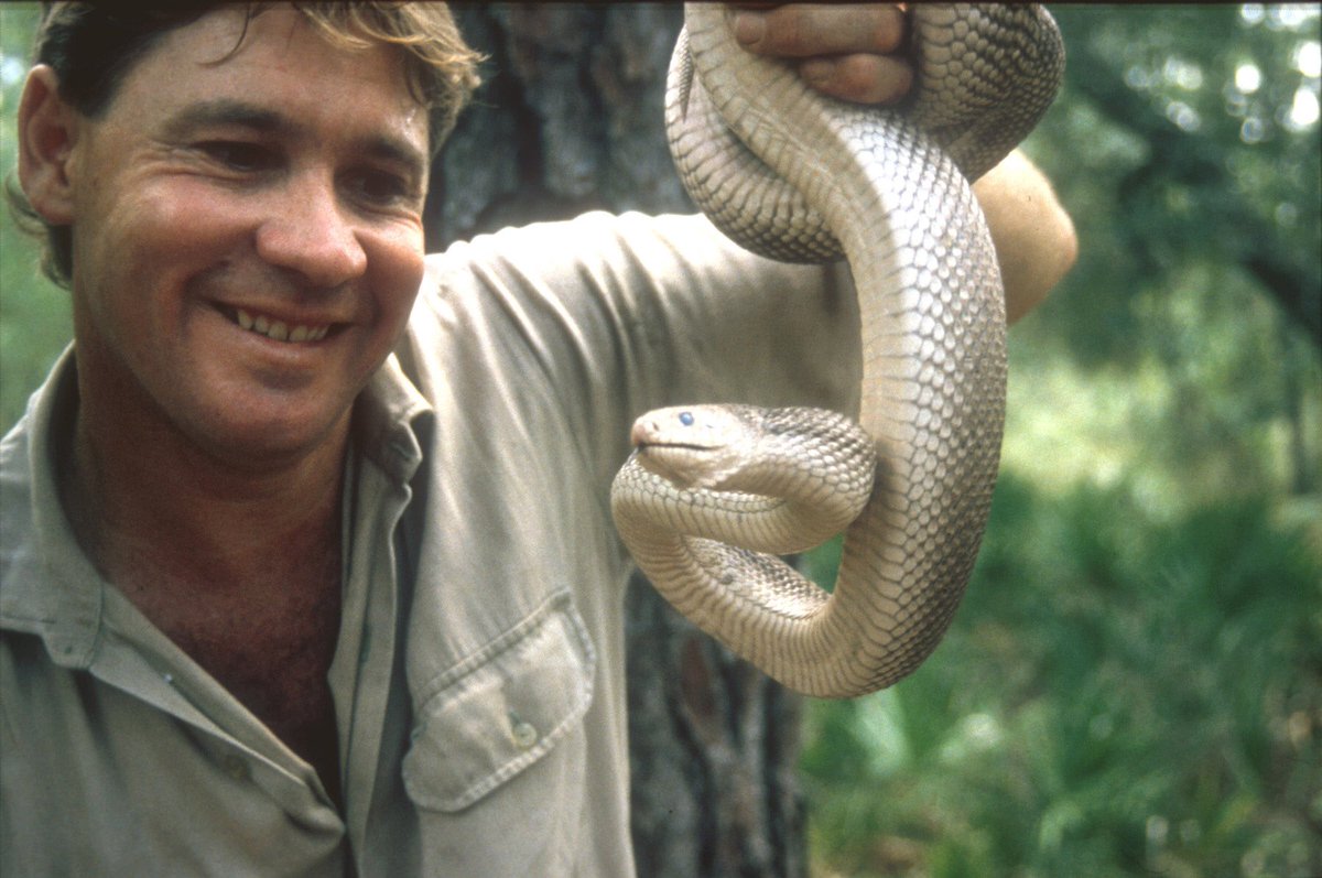 TerriIrwin's tweet photo. Celebrating Steve at the Hollywood Walk of Fame Star Ceremony today 6320 Hollywood Blvd 11:30am. See you there! https://t.co/aEBxP4m7CN