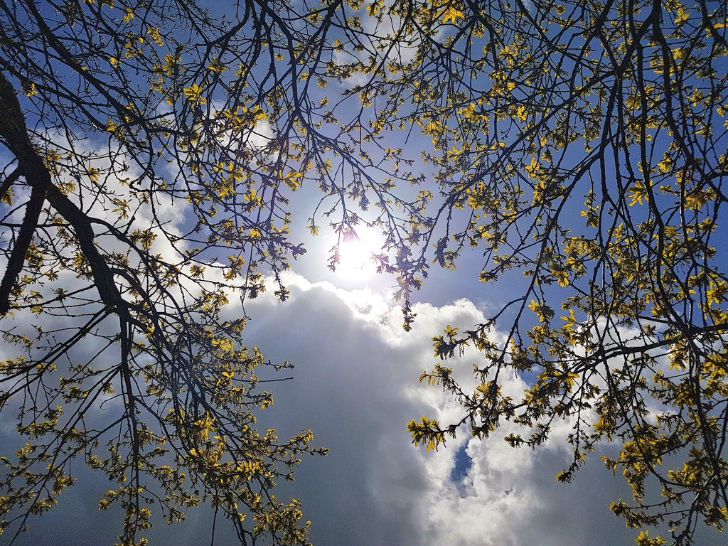 Emma Paull tweet media