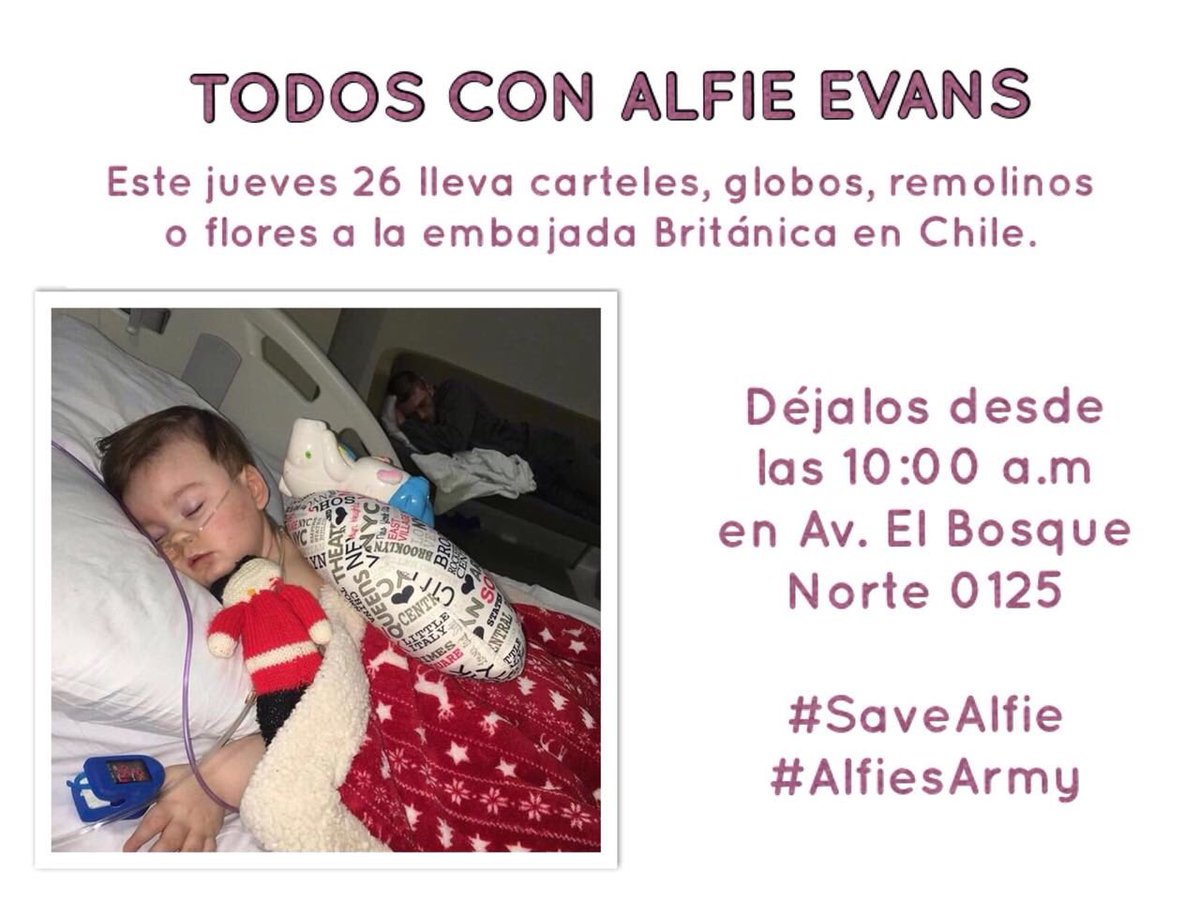 ContardoMaida's tweet photo. #AlfieEvans https://t.co/JDvt7b0VnL
