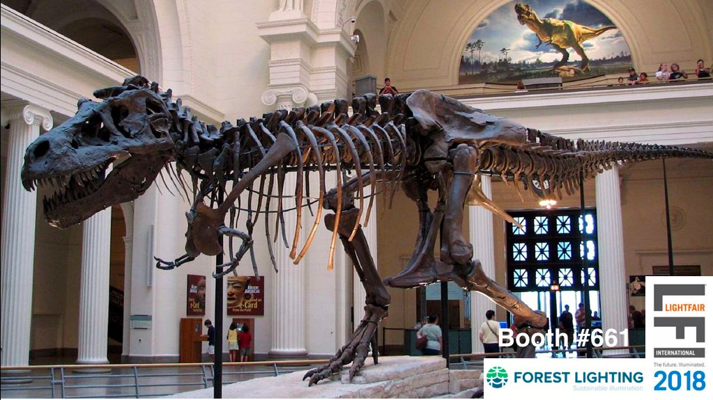 The Forest Lighting team is hard at work getting ready for Lightfair 2018. We are 11 days away from the doors opening. Come and meet the team at booth #661
.
#forestlighting #LFI2018 #chicago #11days #LEDs #IoT