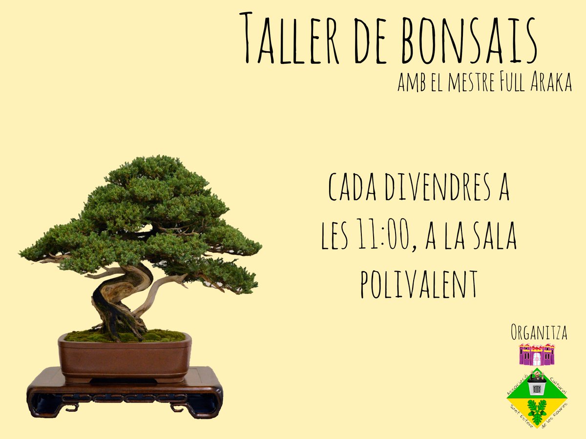 Rourencs i rourenques! Aquesta setmana fem un especial roures!!!