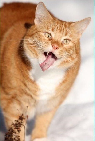 Benziyorlar dimi😂😂😂
<a href="/CaglarErtugrul/">Caglar Ertugrul</a> 

#YağHaz #ÇağlarErtuğrul