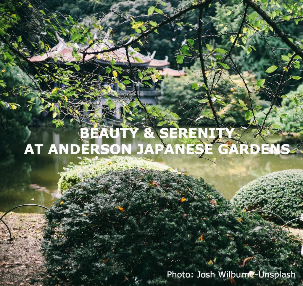 illinoisbnb's tweet photo. Anderson Japanese Gardens in Rockford, IL https://t.co/mqGO2IZken https://t.co/PGA6YCJPdD