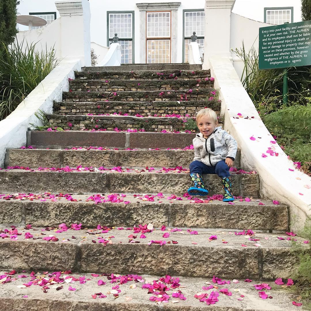 The Alphen Hotel tweet media