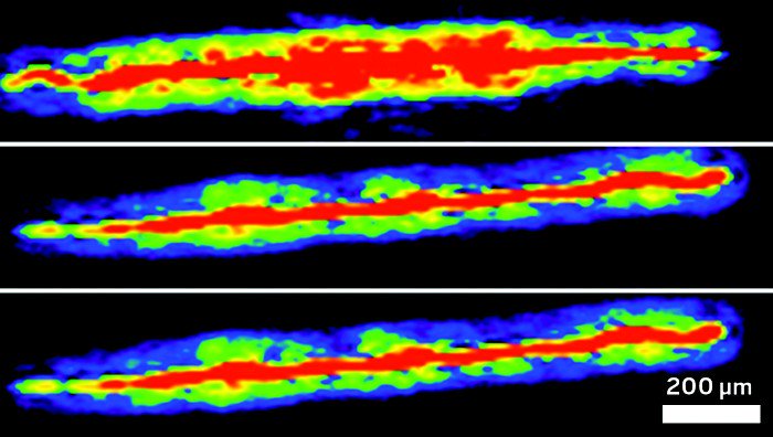 cenmag's tweet photo. Tiny dye capsules + a new imaging technique reveal minute cracks in materials. The method could someday find faults in medical implants, planes, or pipeline coatings before it's too late. https://t.co/CkrFTcDiHo https://t.co/sQ0QiSI6A5