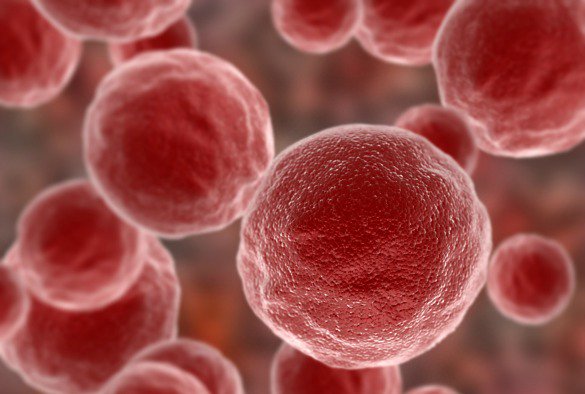livuninews's tweet photo. Liverpool researchers have been awarded a £450K grant from Cancer Research UK to help further develop a machine that can ‘smell’ #cancer https://t.co/VWD4BCOe7t #CR_UK https://t.co/ntoeE77nOd