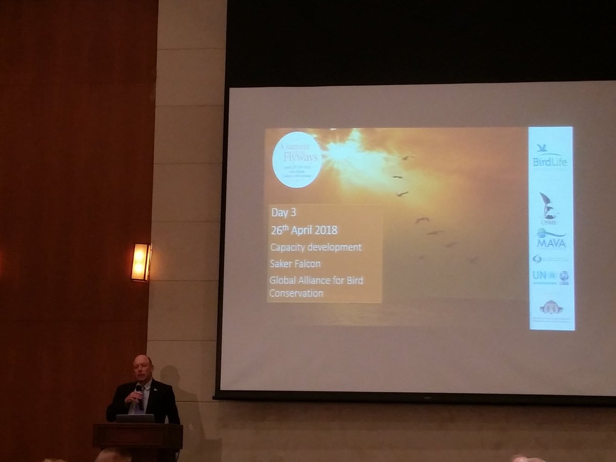 MedWetOrg's tweet photo. Closing session of the #FlywaysSummit from @BirdLife_News in Abu Dhabi -Sessions day 3 - https://t.co/5isEuhgPCg
