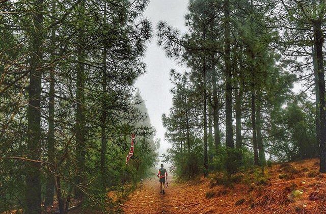 RunnersLand's tweet image. Art
•
#Photo @javi_torrent
•
⛰🏃🏻‍♂️⛰ ¿Quién dice que no hay arte en esto de correr por las montañas?
•
Welcome to #RunnerLand⠀
•
Lets #follow us | tag #RunnerLand on your photos | Turn on our post notifications for features 👍|