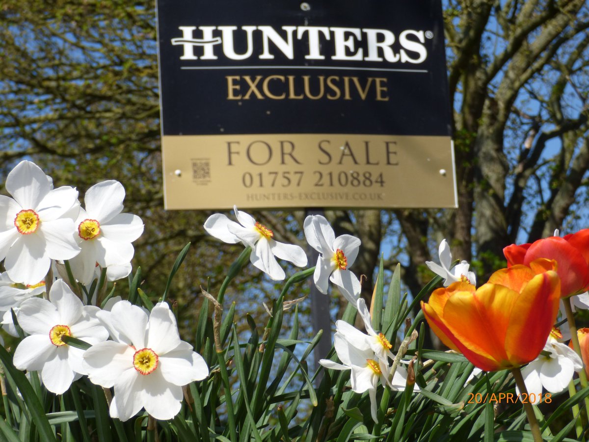 HuntersSelby's tweet photo. #Delightful #countryhome #rural #charm #character #dreamhome #property #viewing #secluded #countryside #huntersexclusive @HuntersSelby @HuntersHomes #heretogetyouthere https://t.co/ztutajaf2K