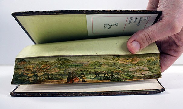 Beautiful Hidden 19th Century #ForeEdge #Paintings Found on the Pages of a Book circa (1873). Fore-edge is a technique where a picture is drawn on the edge of the book pages. Sometimes the image can be seen when the book is closed or slightly fanned out. 

#ideas for my series ✨
