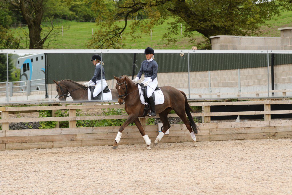horseandhound's tweet photo. Don't miss your chance to win three arena mirrors complete with full installation courtesy of @mirrors4trainin! https://t.co/lB3VAuLl8U #10yearsofmirrors #ad https://t.co/hSf8jtLmms