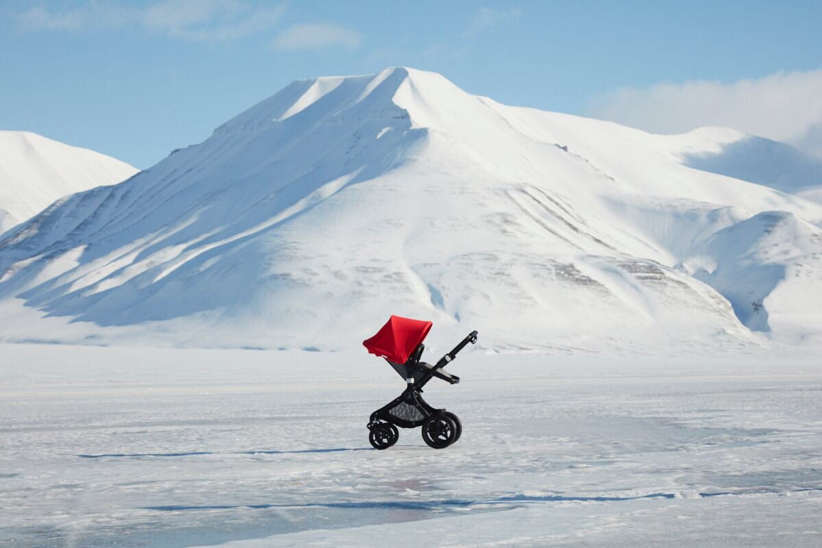 Thank you <a href="/Bugaboo/">bugaboo</a> for supporting <a href="/BorneCharity/">Borne</a>! Two foxes made it to the Arctic, myself and a #bugaboofox! 🦊
