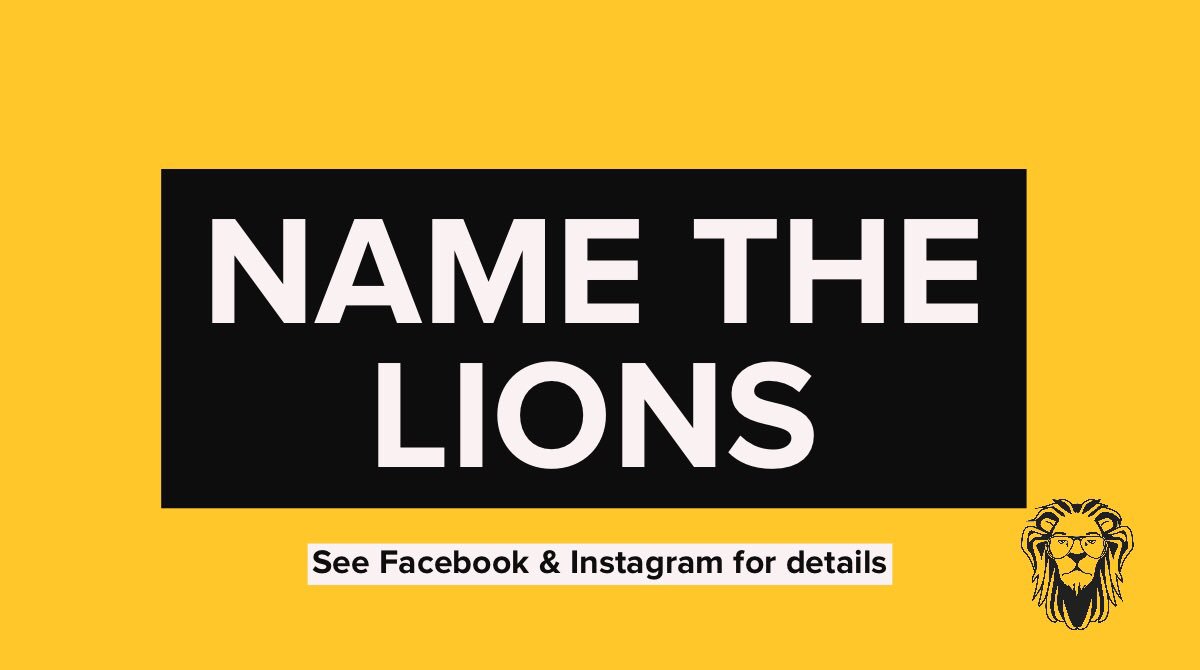 Help! We need to name our #lions!  Go to our FB page or Instagram for more details &amp; to leave your submissions.
#letthegamesbegin
#craftmead
#contest
#MeloLion