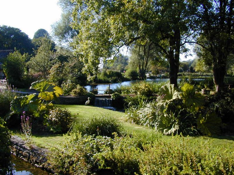 The Local Answer tweet media