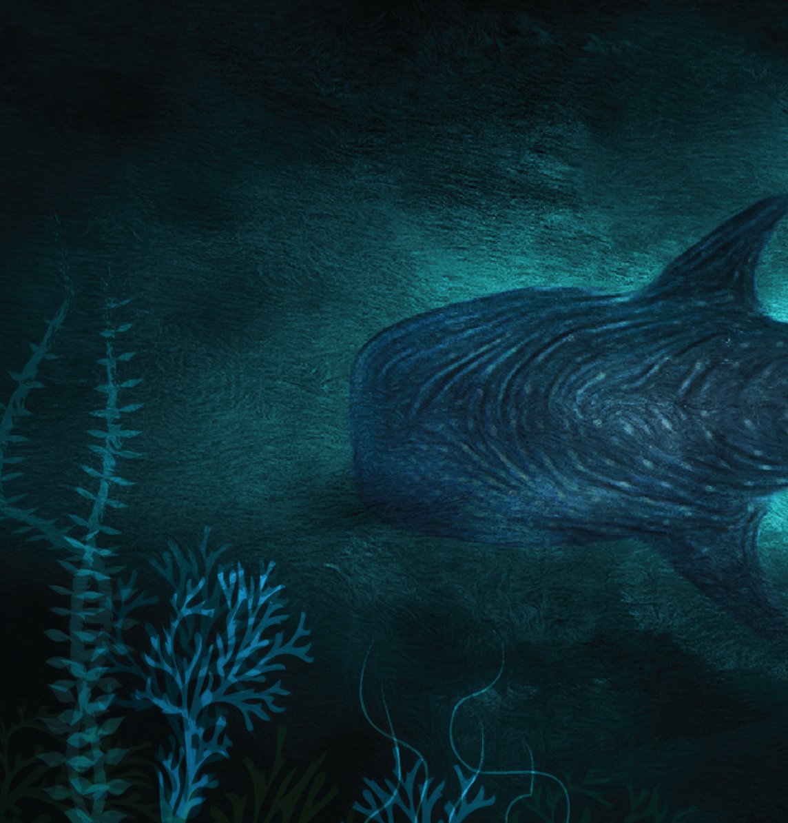 Whale Shark #Painting How CURIOUS ARE YOU?? goo.gl/pBkoYe 
#abstractart #modernart #originalart #fineart #art #artwork #artist #painter #artcollector #artlovers #myart #artforsale #artoftheday #artistsontwitter #artcurator #artgallery #modernarts #ContemporaryArt #Shark