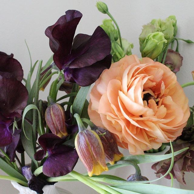petalandgrace's tweet image. Spring 💥Summer. Ranunculus, fritillaries, sweet peas and lissianthus. #seasonsarechanging #springandsummer #londonflorist #londonwedding ift.tt/2vOji4D