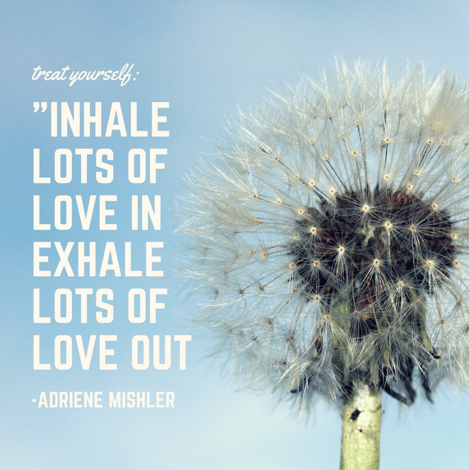 Yoga Practice and the Appreciation of the Body in Forward Fold... dailycupofyoga.com/2018/04/26/yog…