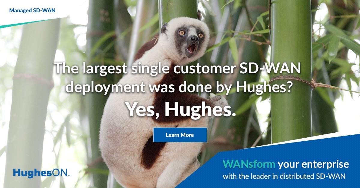 Trade your legacy MPLS network for a simpler, more capable solution. Take the journey to Network Nirvana. bit.ly/WANsform