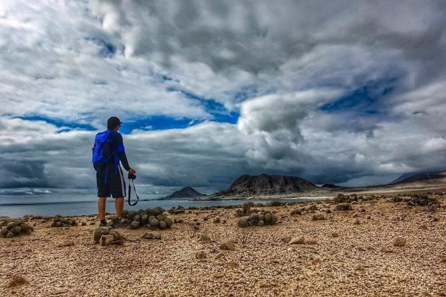 AChilepoh's tweet photo. 📸 @photogra_wildlife - 🌎✌🐺 Pan de Azúcar National Park Atacama Chile.🇨🇱 #wildlife #nikon #austerra #marcachile #southamerica #achilepoh #loviennatgeo #bbctravel #natgeotravel #chilemochilero #gochile #earth #life #wildlifechile Descubre y Conoce @achilepoh@achilepoh https://t.co/J3rYqWf0uQ