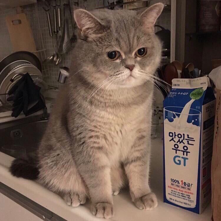 cakesuh's tweet photo. I see no difference. https://t.co/4m7xi5tYfM