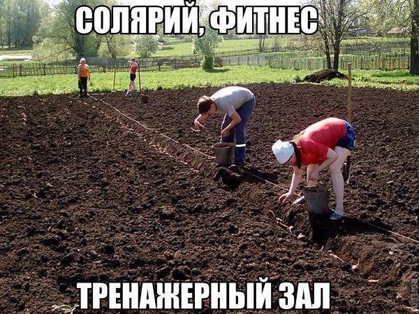 Невероятно, но Факт! (@best_fact) on Twitter photo 